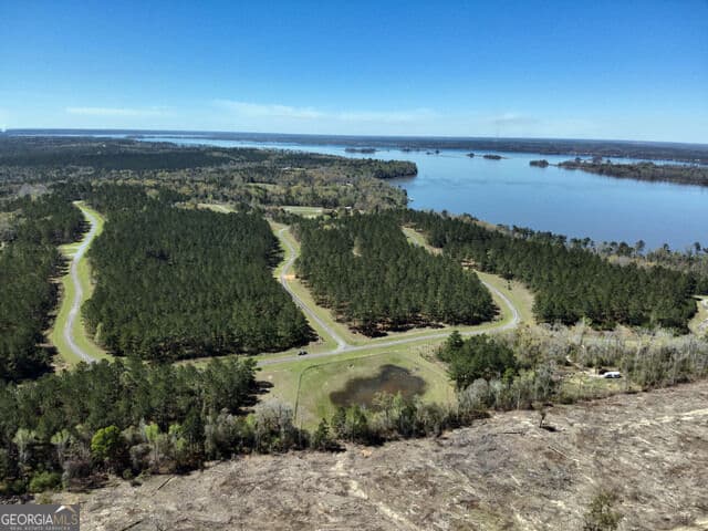 unimproved land for sale at TBD LOT 1 Seminole Ridge, Bainbridge, GA 39819 — photo 6