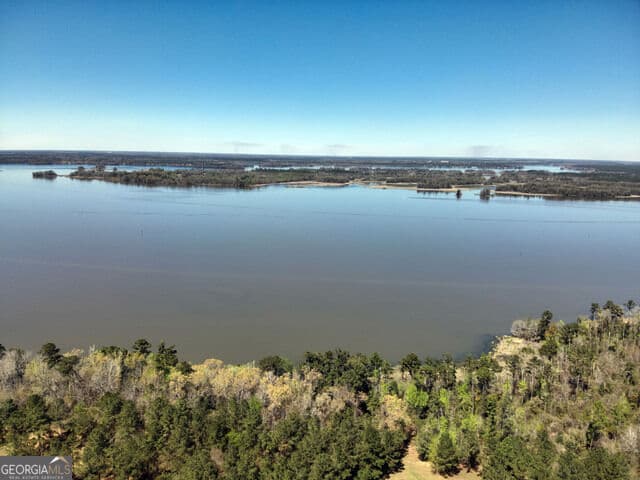 unimproved land for sale at TBD LOT 1 Seminole Ridge, Bainbridge, GA 39819 — photo 5