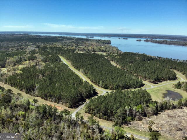 unimproved land for sale at TBD LOT 1 Seminole Ridge, Bainbridge, GA 39819 — photo 9