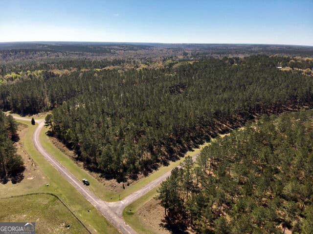 unimproved land for sale at TBD LOT 1 Seminole Ridge, Bainbridge, GA 39819 — photo 10