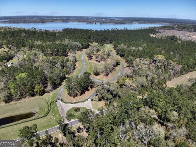 unimproved land for sale at TBD LOT 1 Seminole Ridge, Bainbridge, GA 39819 — photo 8