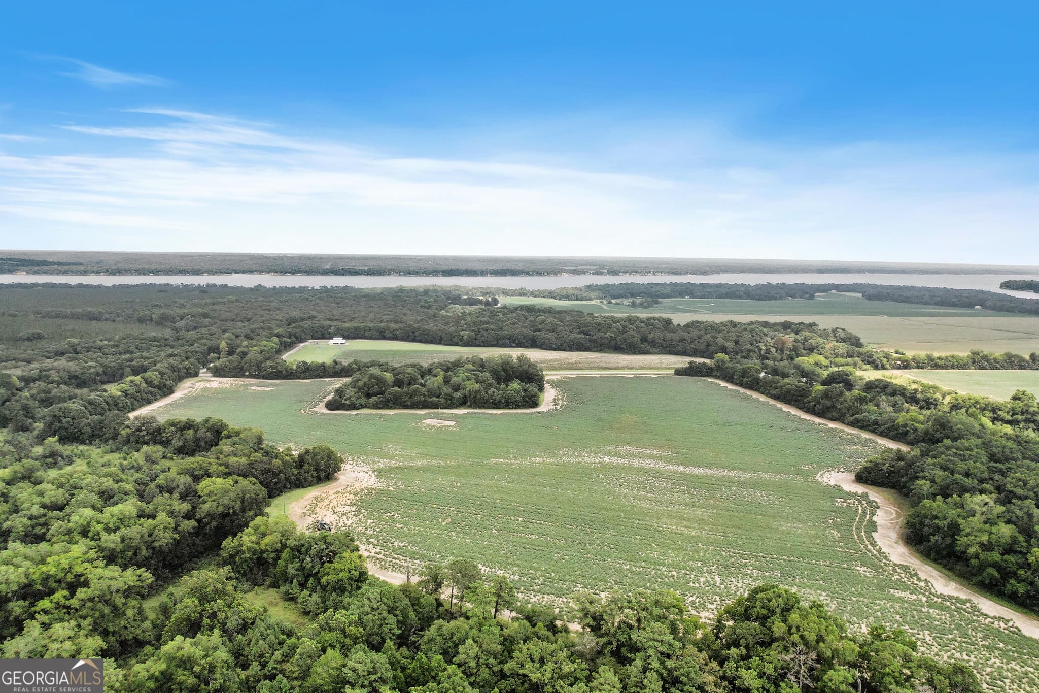 unimproved land for sale at HWY 95 N COUNTY ROAD 95 Highway, Eufaula, AL 36027 — photo 6