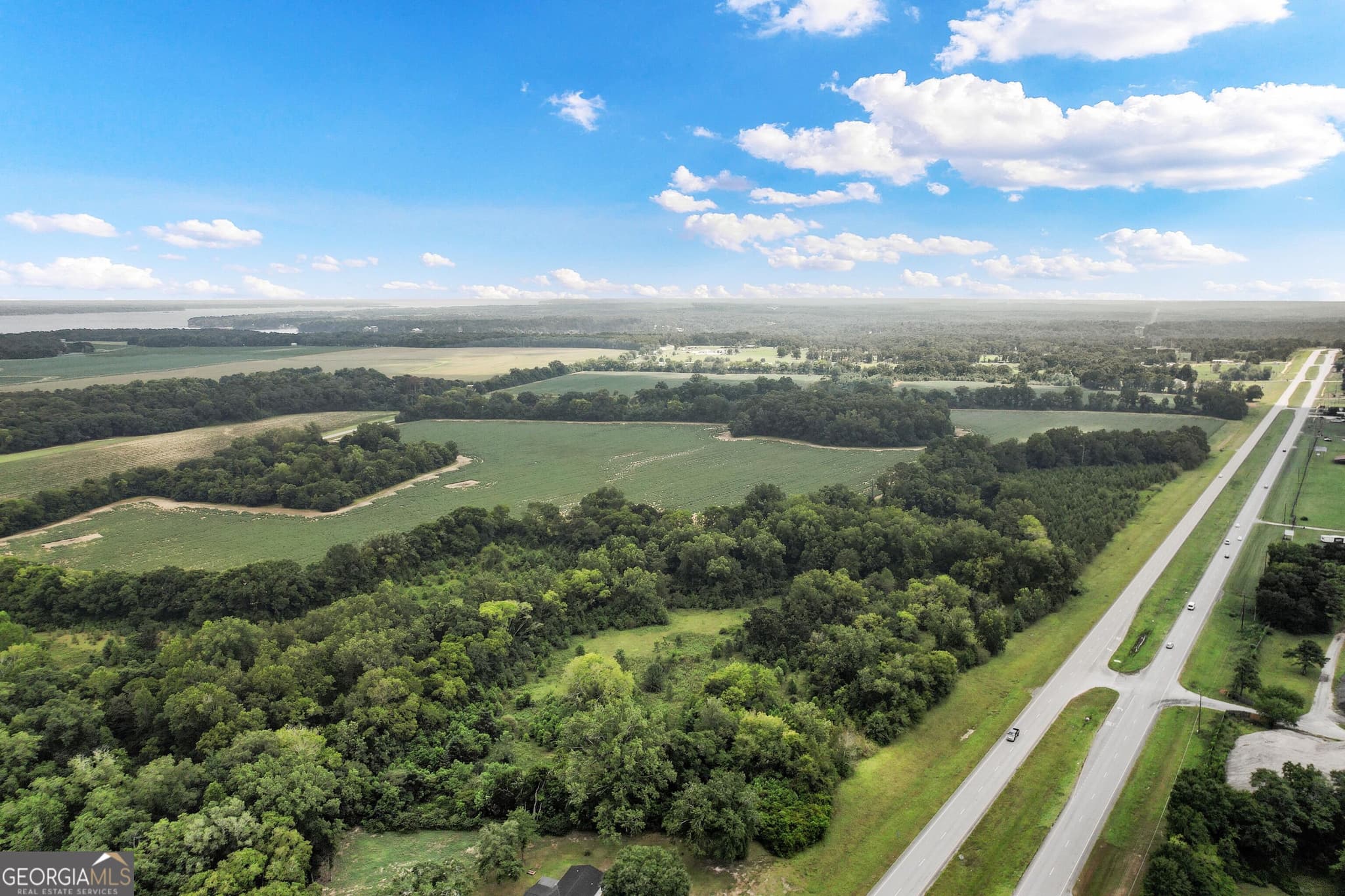 unimproved land for sale at HWY 95 N COUNTY ROAD 95 Highway, Eufaula, AL 36027 — photo 7