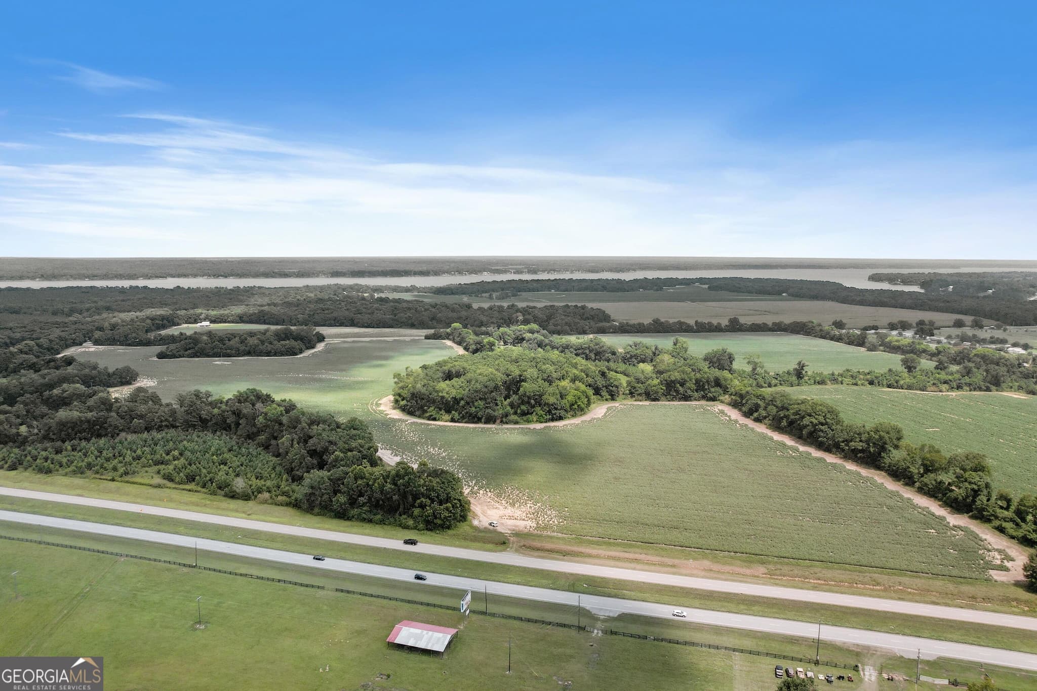 unimproved land for sale at HWY 95 N COUNTY ROAD 95 Highway, Eufaula, AL 36027 — photo 3