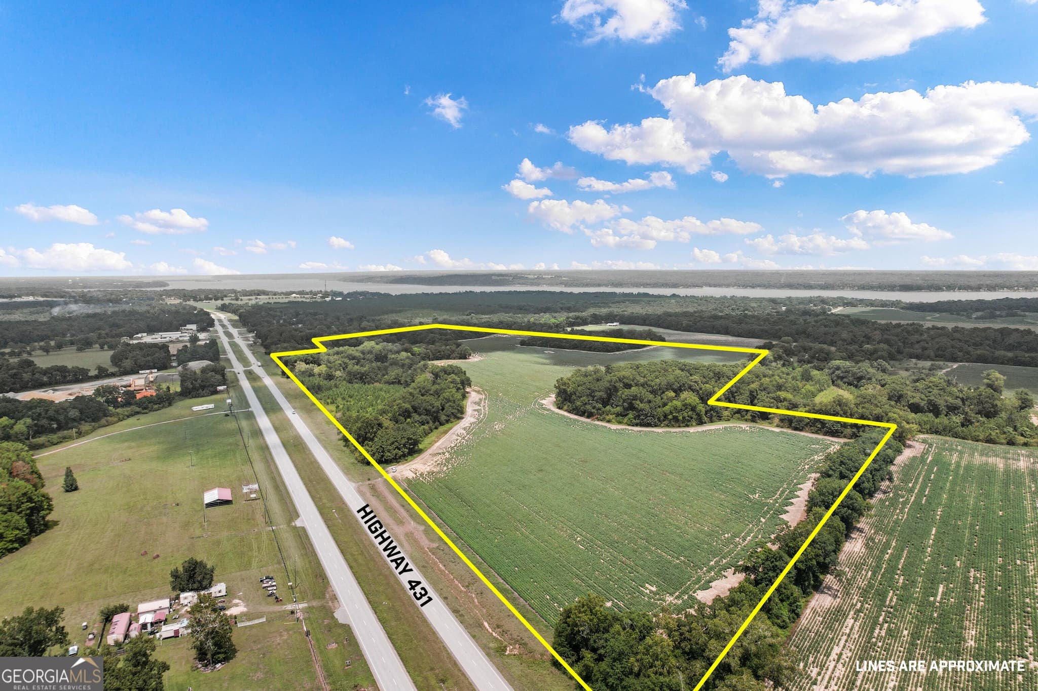 unimproved land for sale at HWY 95 N COUNTY ROAD 95 Highway, Eufaula, AL 36027 — photo 1 of 20
