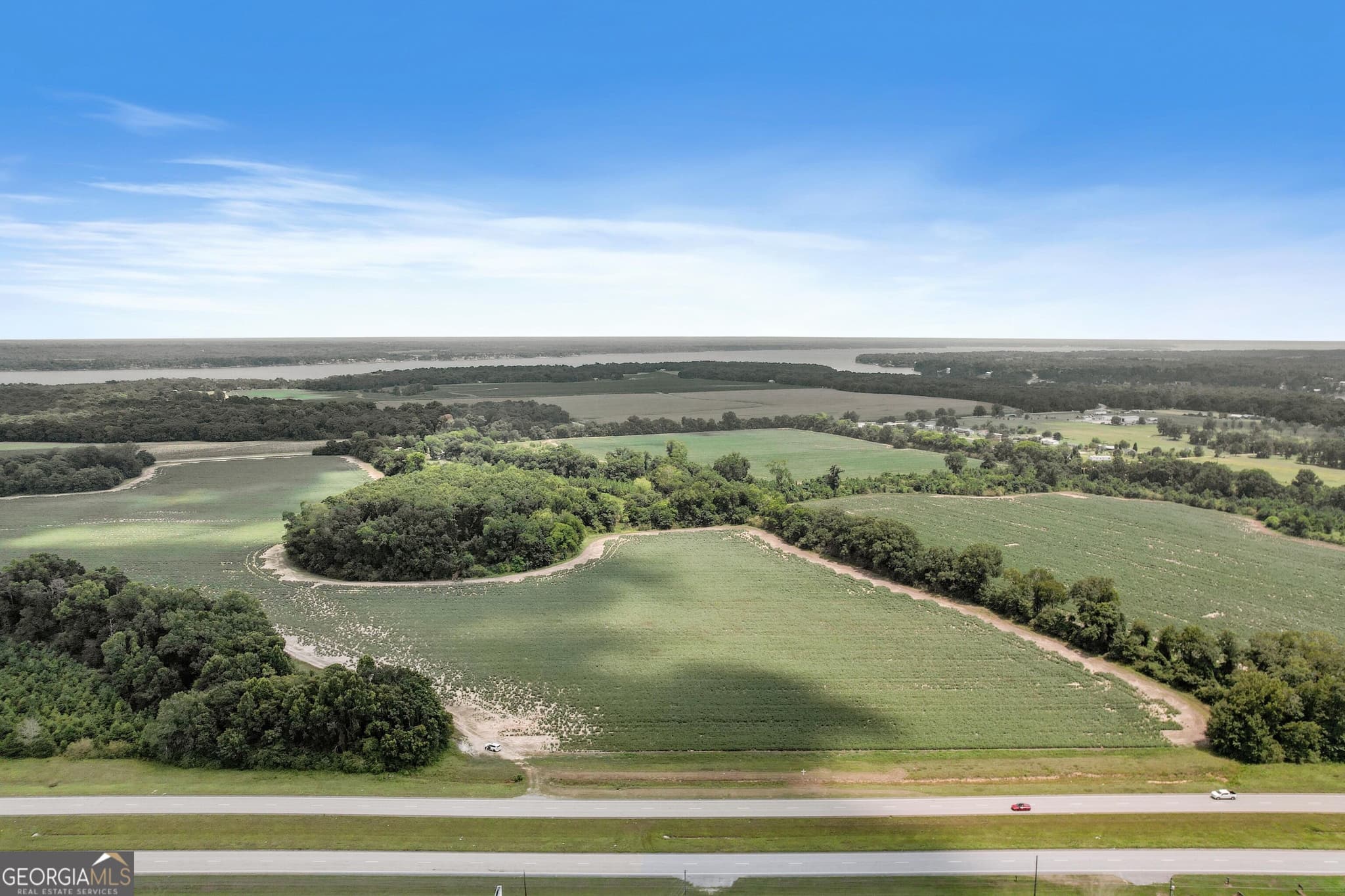 unimproved land for sale at HWY 95 N COUNTY ROAD 95 Highway, Eufaula, AL 36027 — photo 5