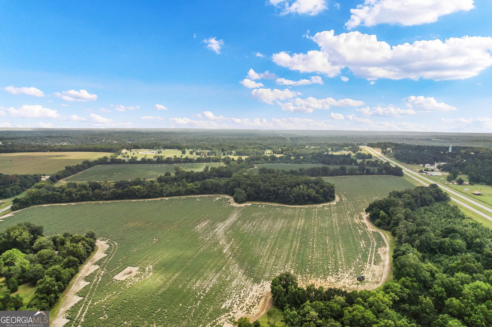 unimproved land for sale at HWY 95 N COUNTY ROAD 95 Highway, Eufaula, AL 36027 — photo 10