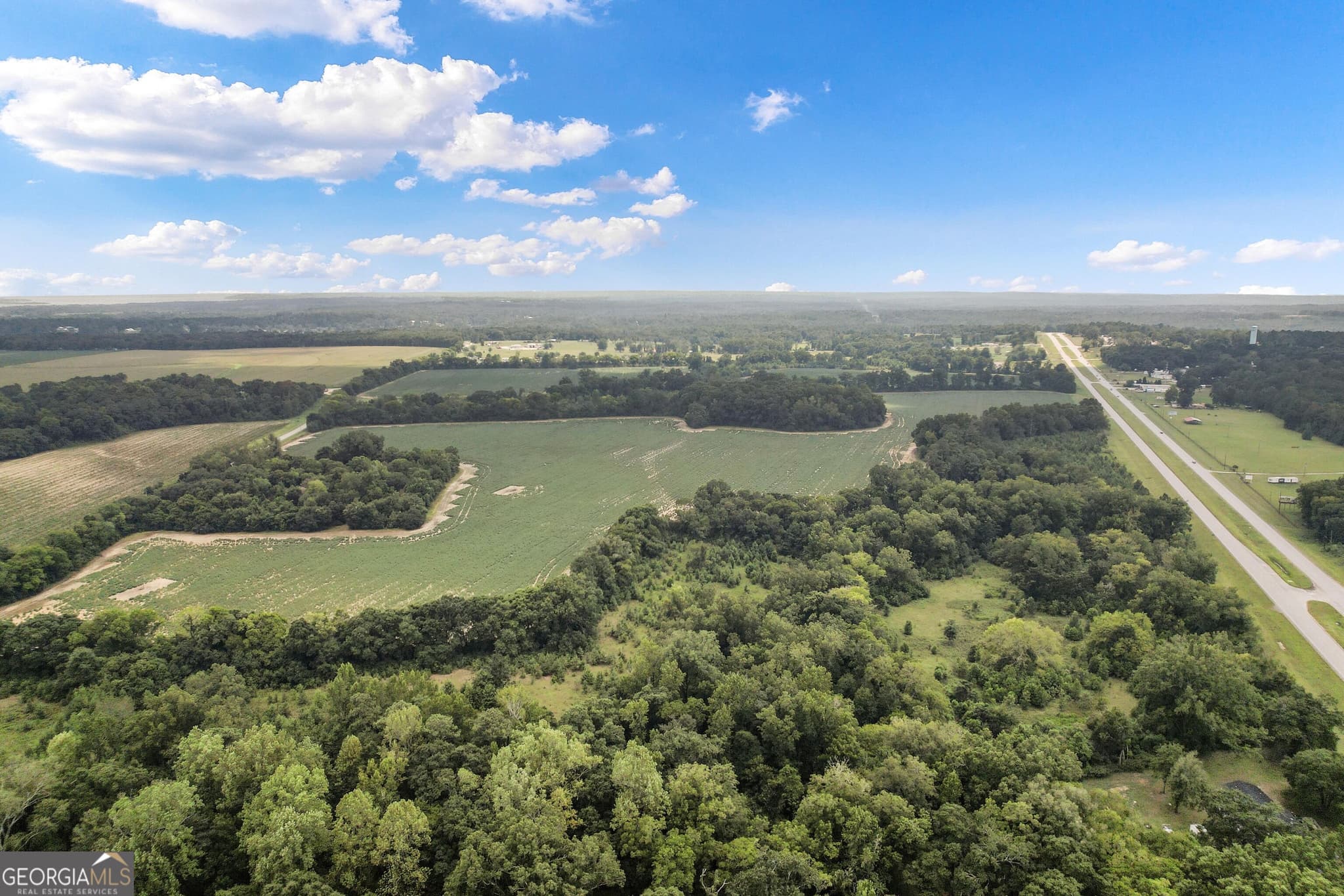 unimproved land for sale at HWY 95 N COUNTY ROAD 95 Highway, Eufaula, AL 36027 — photo 8