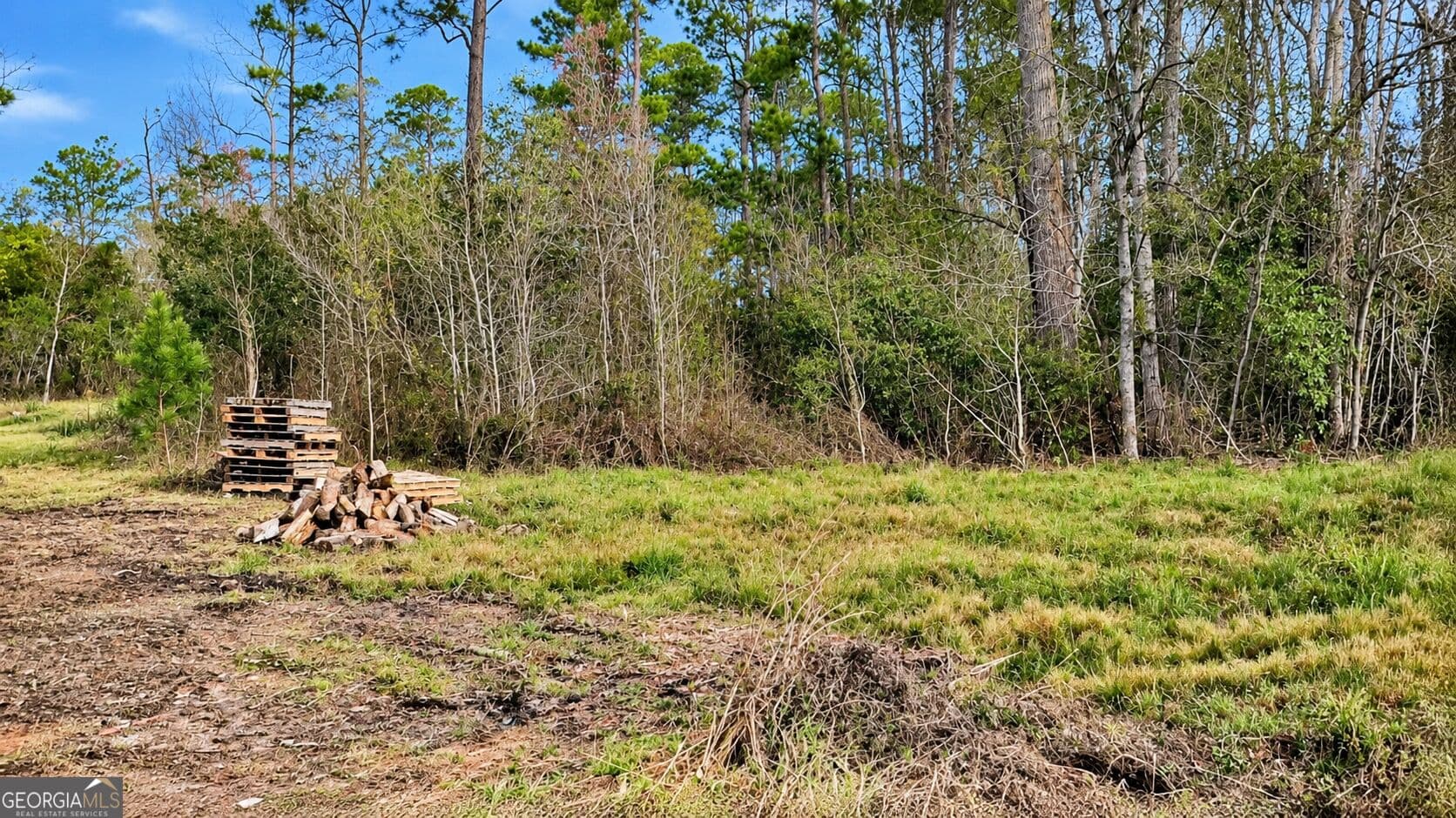 residential lot for sale at 4826 Lori Street, Valdosta, GA 31605 — photo 5