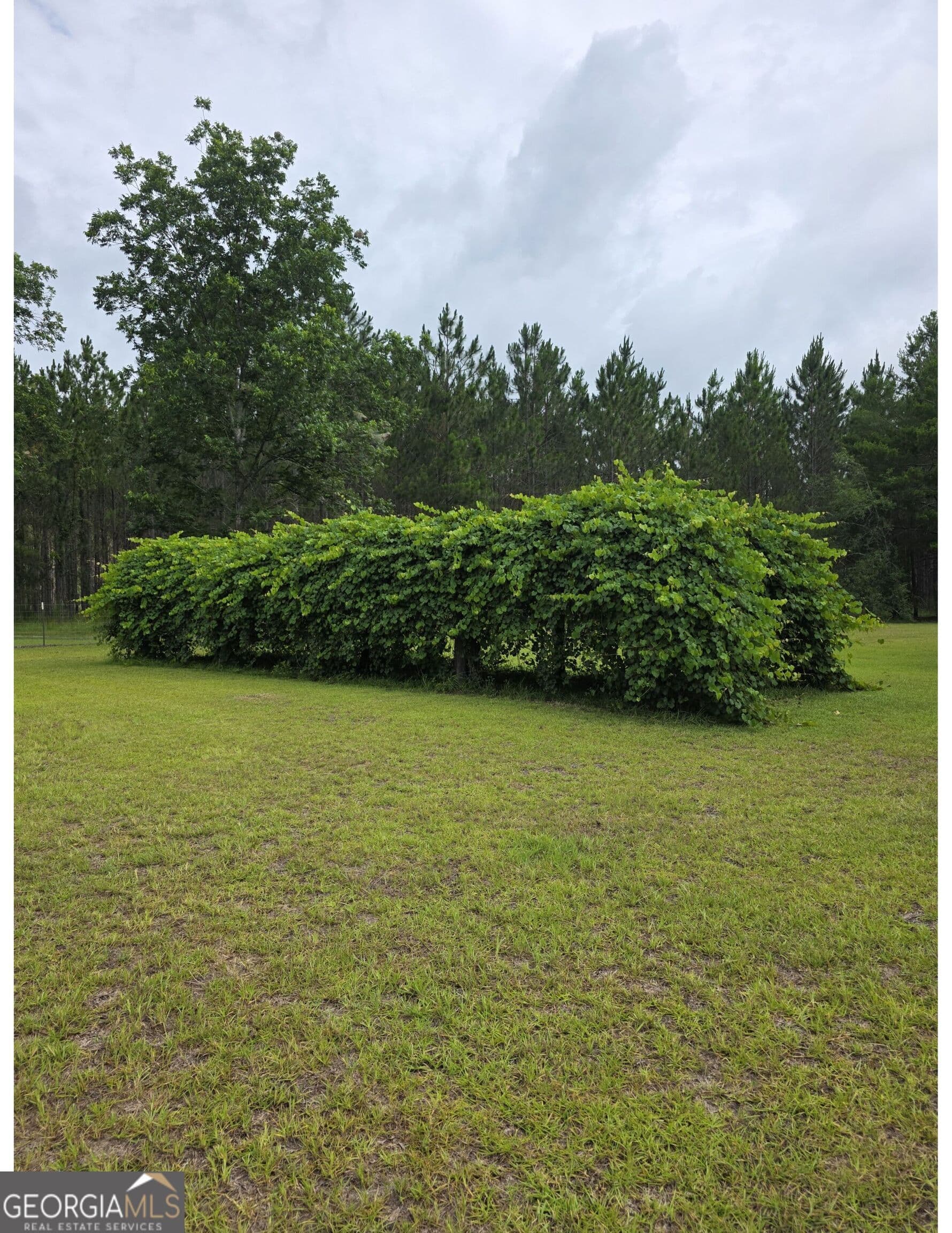 1 bedroom, 2 bathroom, 1,408 sq ft single family residence for sale at 234 Robin Road, Alma, GA 31510 — photo 7