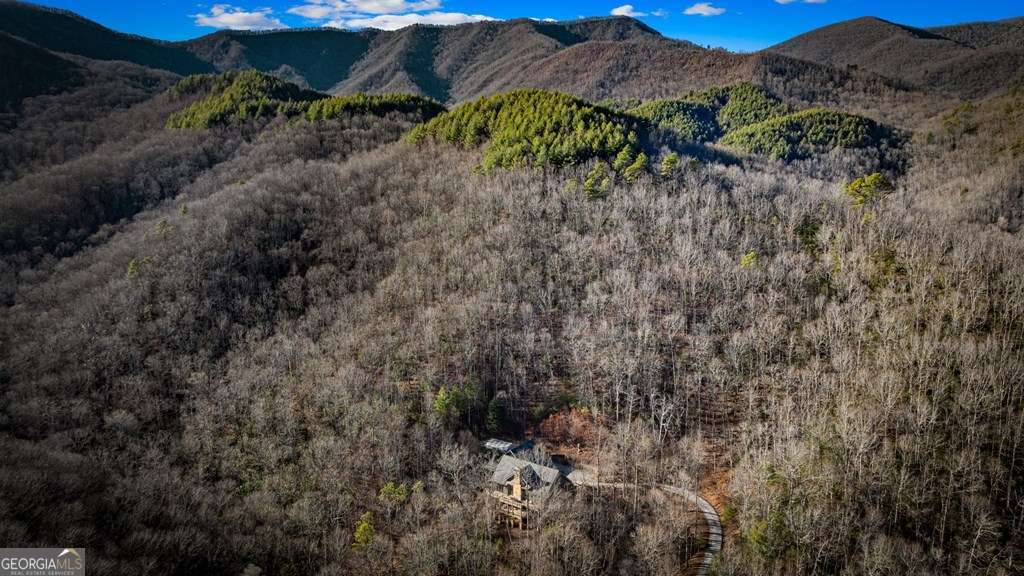 6 bedroom, 6 bathroom, 6,200 sq ft cabin,single family residence for sale at 490 Red Wolf Run, Franklin, NC 28734 — photo 7