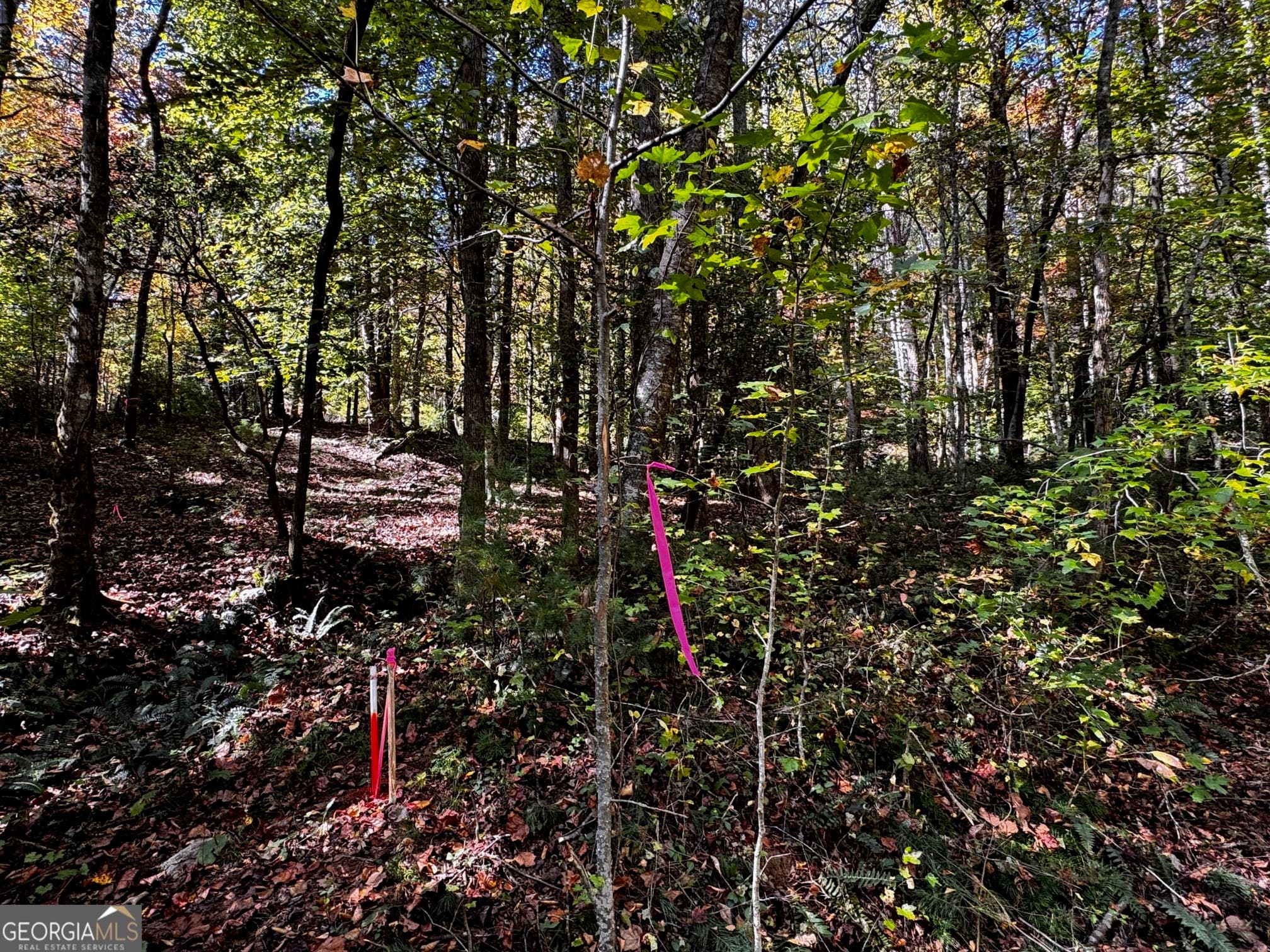 residential lot for sale at 6X Laurelwood, Sautee Nacoochee, GA 30571 — photo 3
