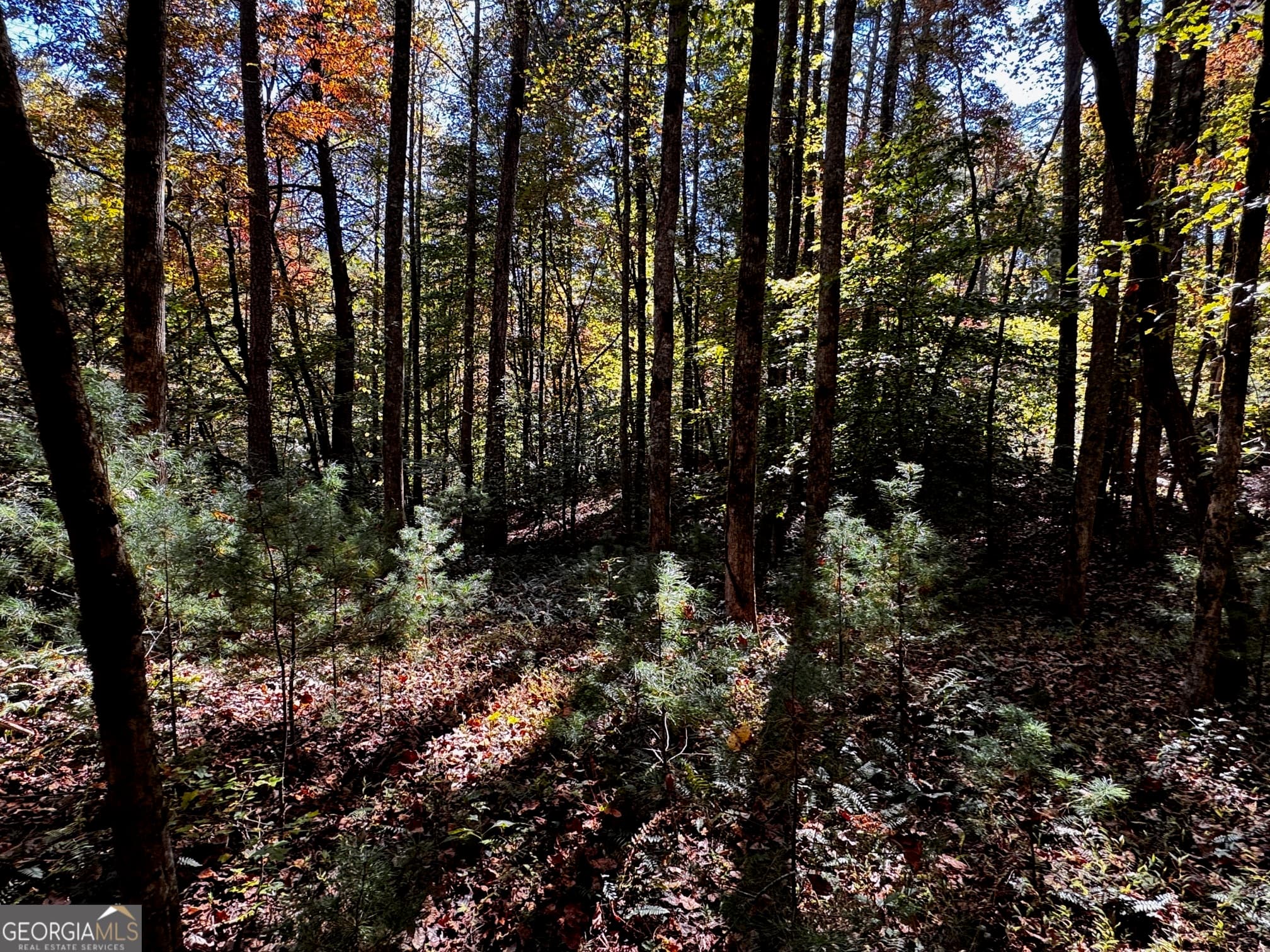 residential lot for sale at 6X Laurelwood, Sautee Nacoochee, GA 30571 — photo 5