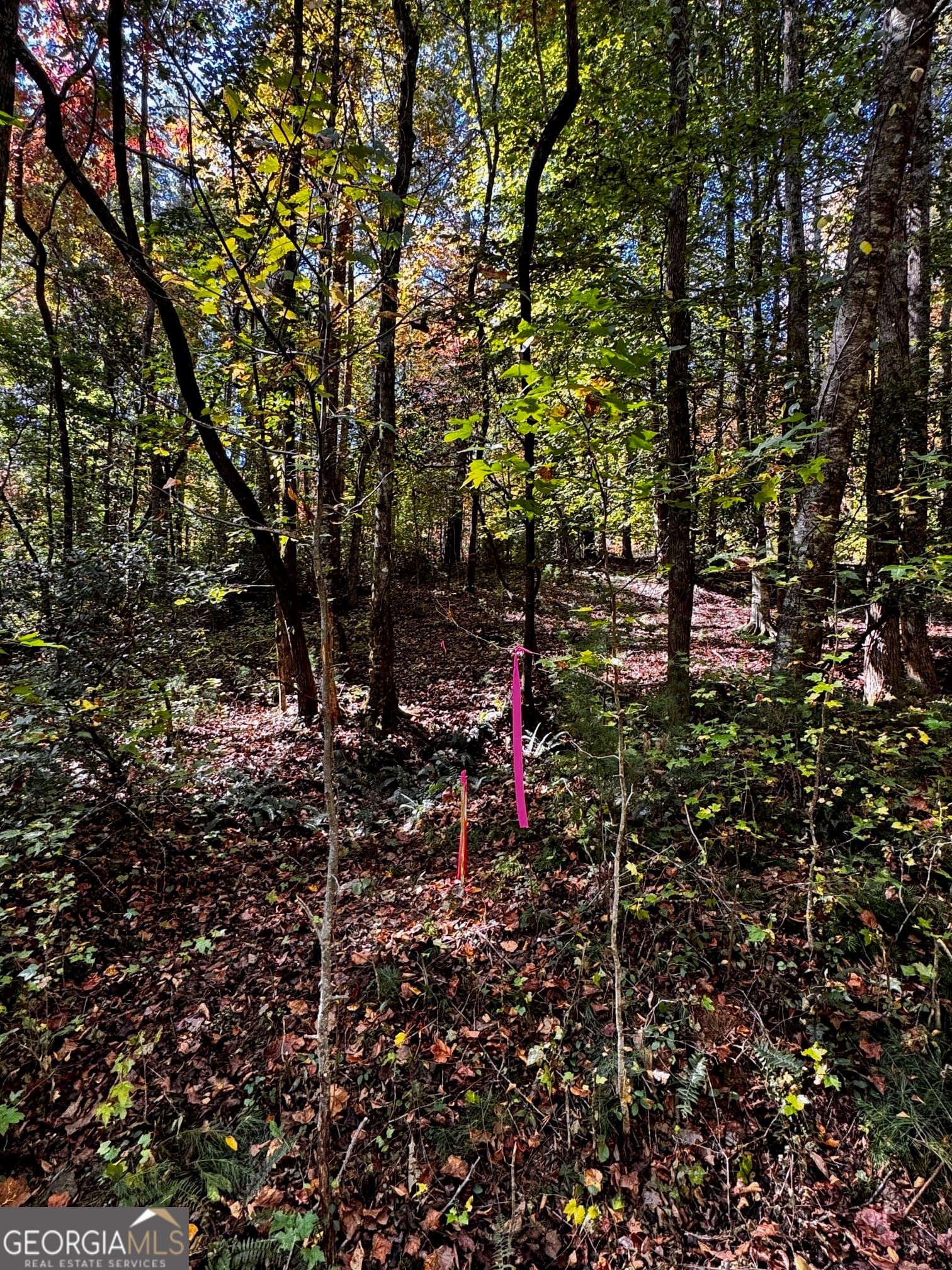 residential lot for sale at 6X Laurelwood, Sautee Nacoochee, GA 30571 — photo 4