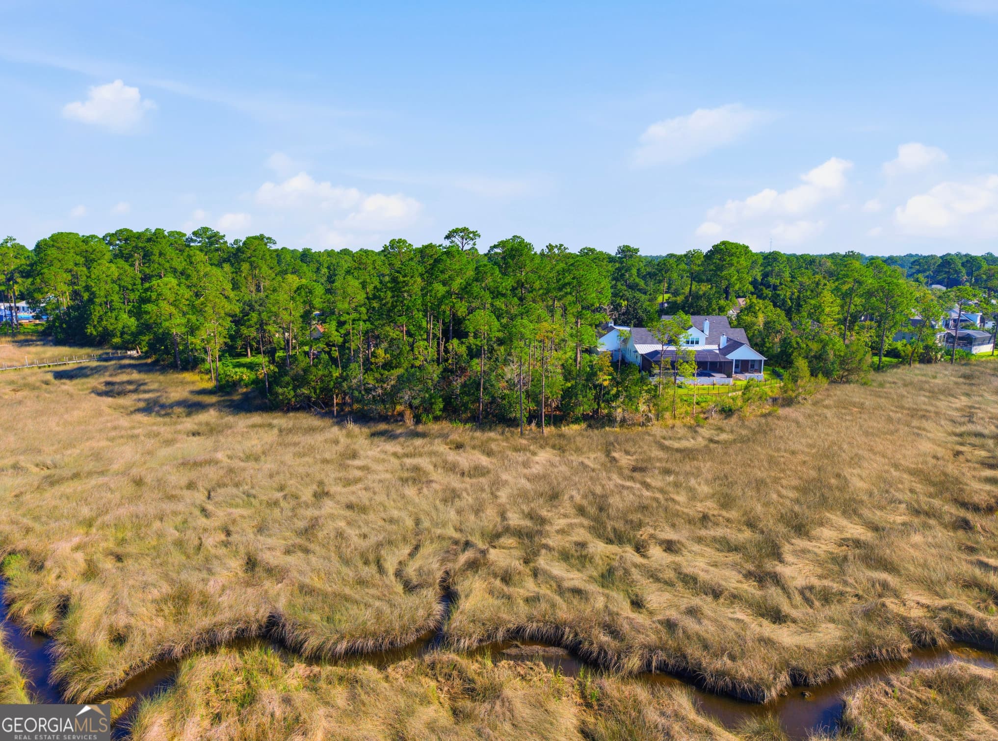 unimproved land for sale at 1071 Greenwillow Drive, St. Marys, GA 31558 — photo 7
