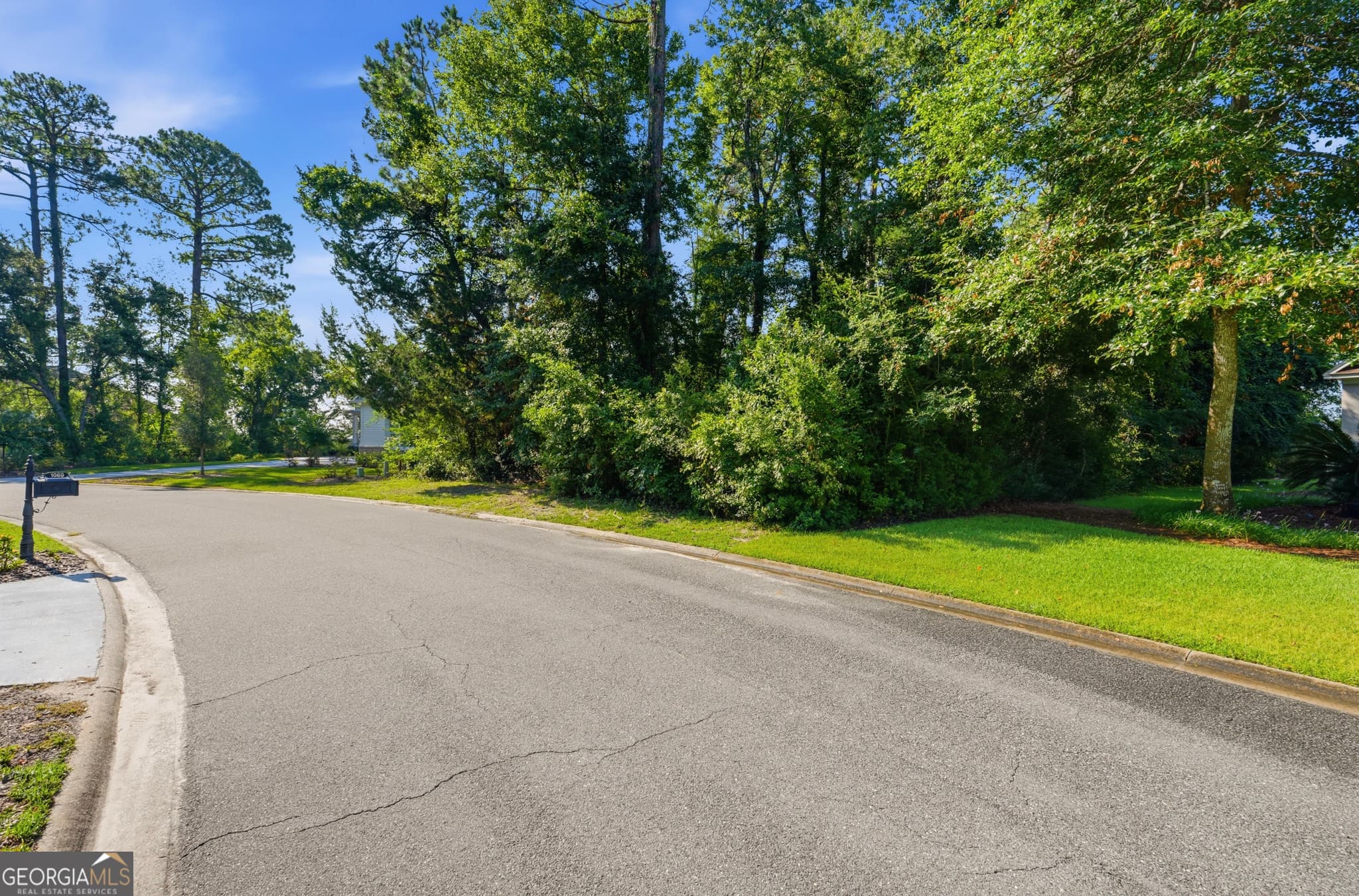 unimproved land for sale at 1071 Greenwillow Drive, St. Marys, GA 31558 — photo 9