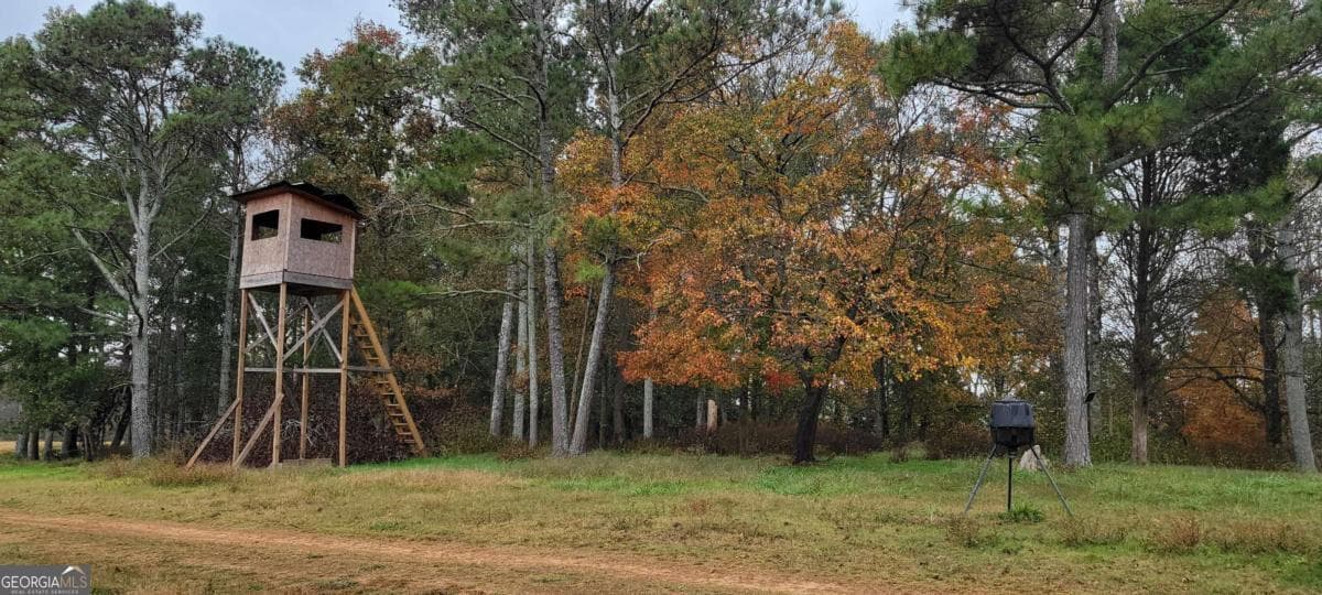 residential lot for sale at 6794 Salacoa Road, Waleska, GA 30183 — photo 6