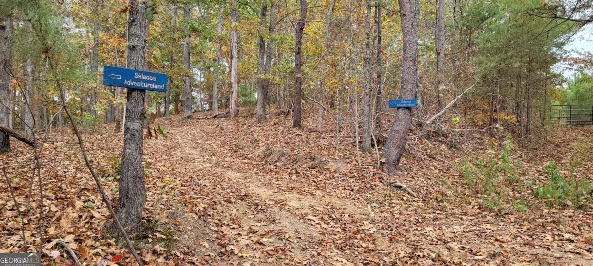 residential lot for sale at 6794 Salacoa Road, Waleska, GA 30183 — photo 9