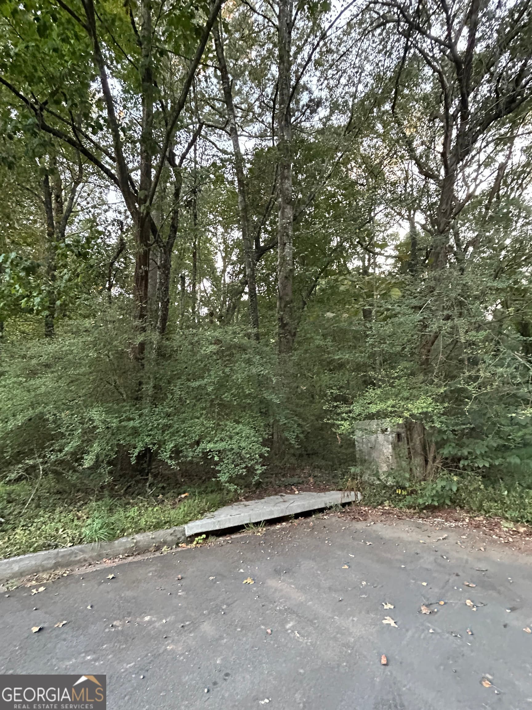 residential lot for sale at 3740 Las Olas Drive, South Fulton, GA 30349 — photo 3