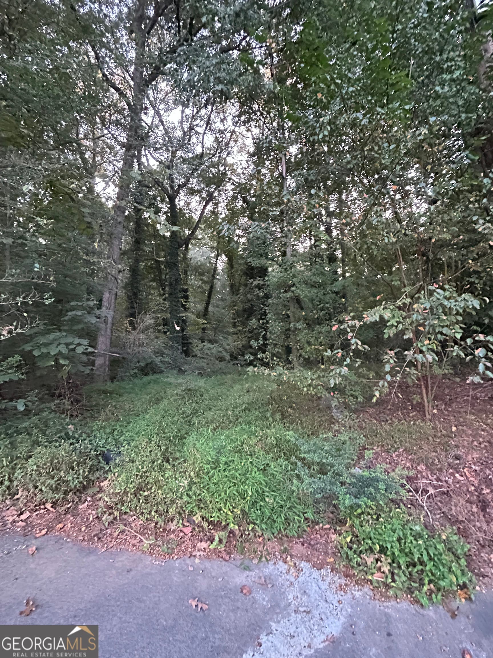 residential lot for sale at 3740 Las Olas Drive, South Fulton, GA 30349 — photo 4