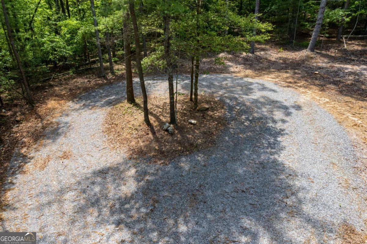 residential lot for sale at 0 Possum Poke Road, Ellijay, GA 30536 — photo 6
