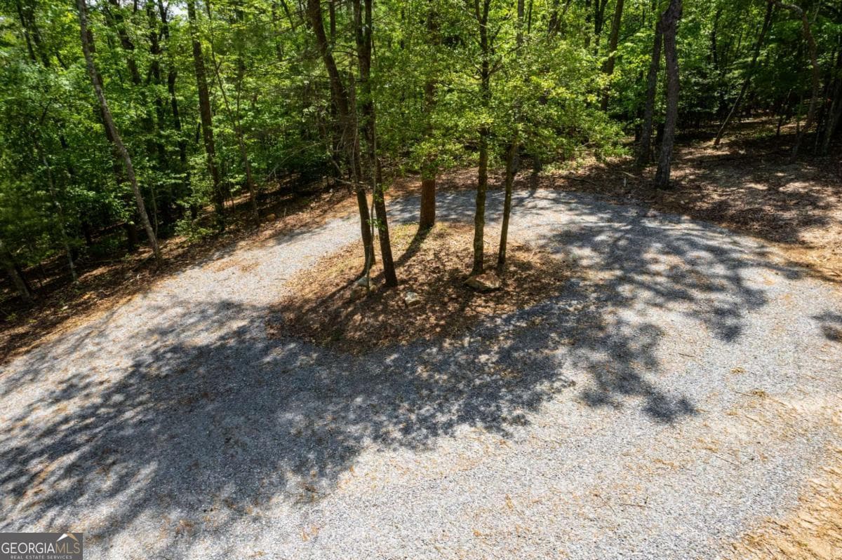 residential lot for sale at 0 Possum Poke Road, Ellijay, GA 30536 — photo 7