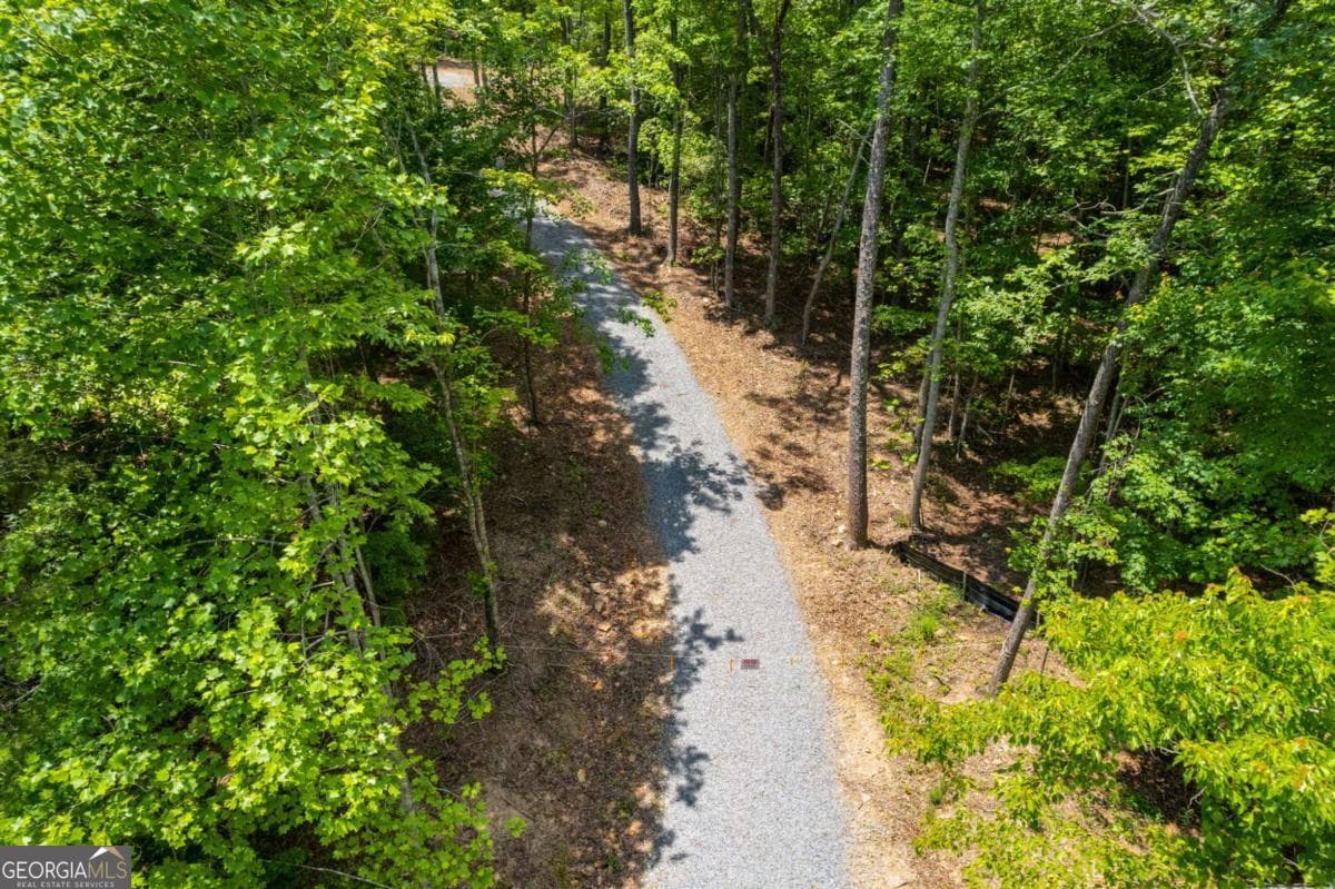 residential lot for sale at 0 Possum Poke Road, Ellijay, GA 30536 — photo 4