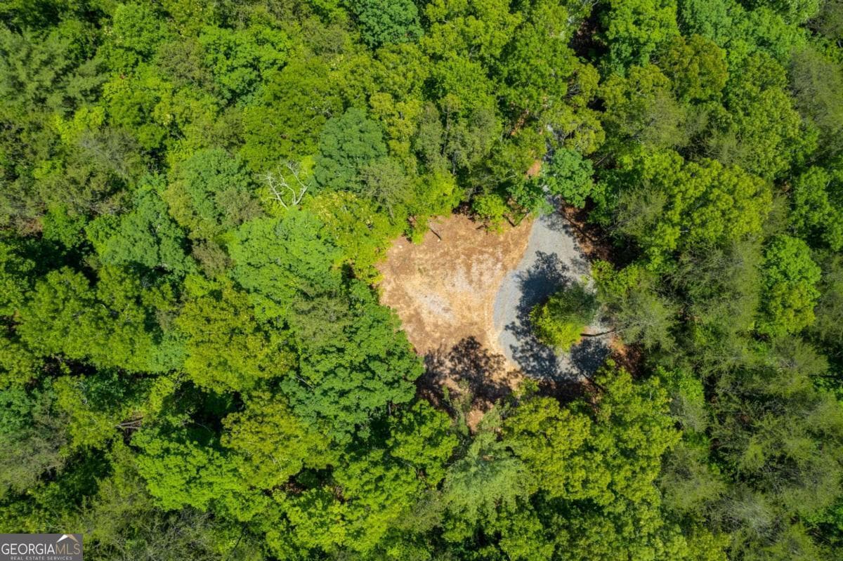 residential lot for sale at 0 Possum Poke Road, Ellijay, GA 30536 — photo 8