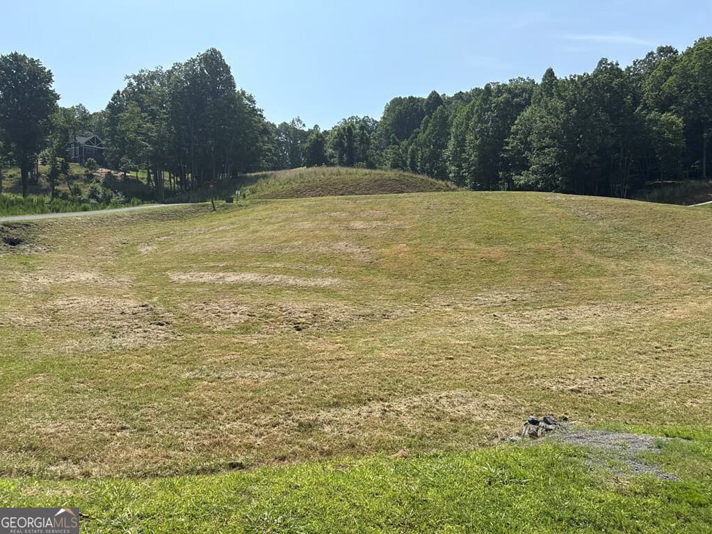 residential lot for sale at LOT 29 Big Valley Overlook, Morganton, GA 30560 — photo 2