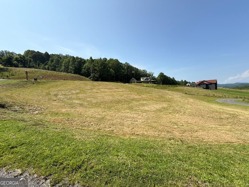 residential lot for sale at LOT 29 Big Valley Overlook, Morganton, GA 30560 — photo 3