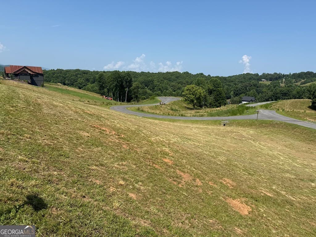 residential lot for sale at LOT 29 Big Valley Overlook, Morganton, GA 30560 — photo 4