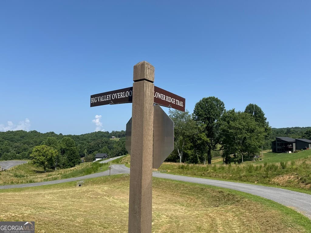 residential lot for sale at LOT 29 Big Valley Overlook, Morganton, GA 30560 — photo 8