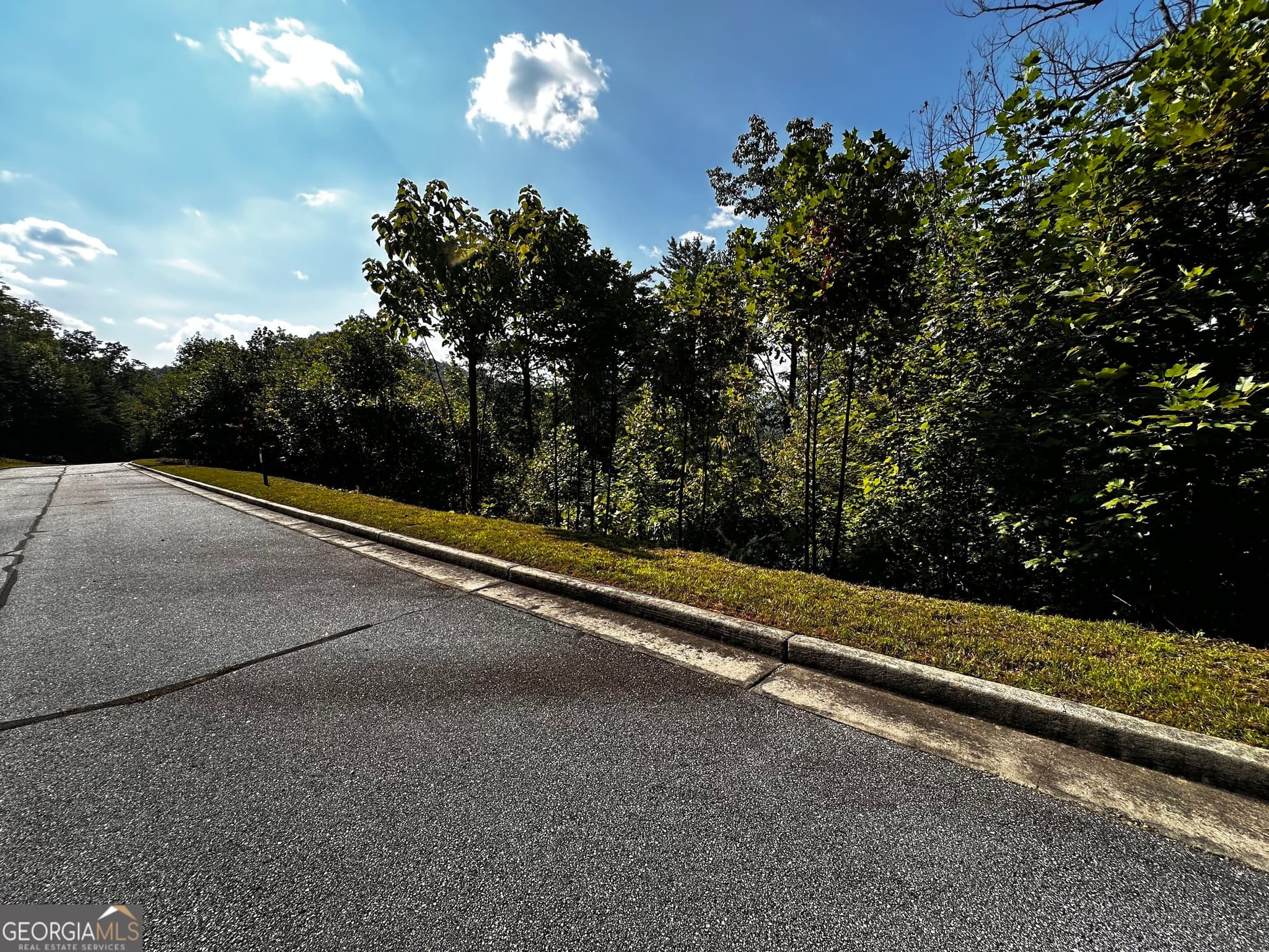 residential lot for sale at LOT J-12 Winterberry Trail, Clayton, GA 30525 — photo 6