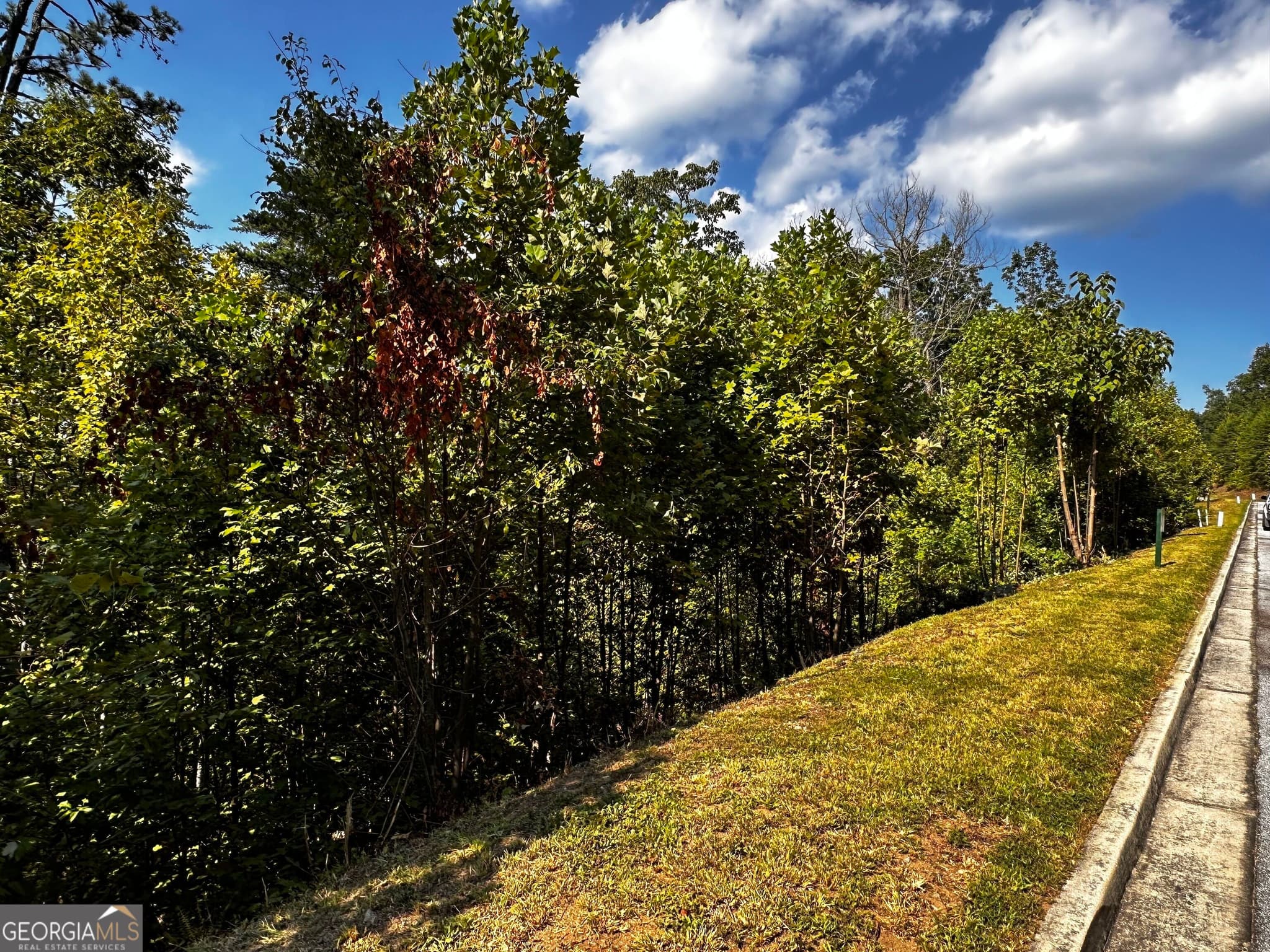 residential lot for sale at LOT J-12 Winterberry Trail, Clayton, GA 30525 — photo 7