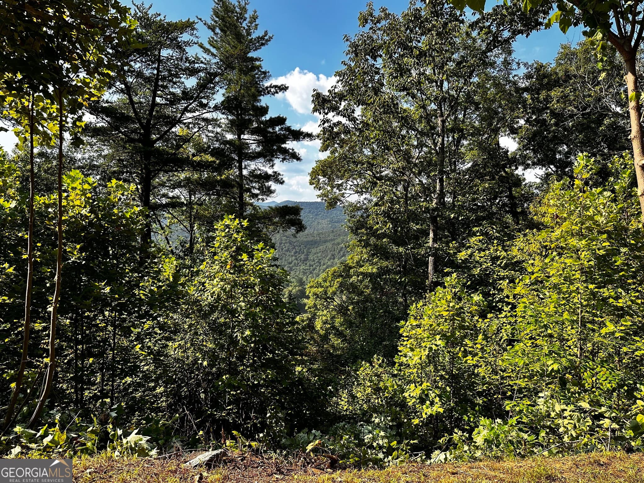 residential lot for sale at LOT J-12 Winterberry Trail, Clayton, GA 30525 — photo 3