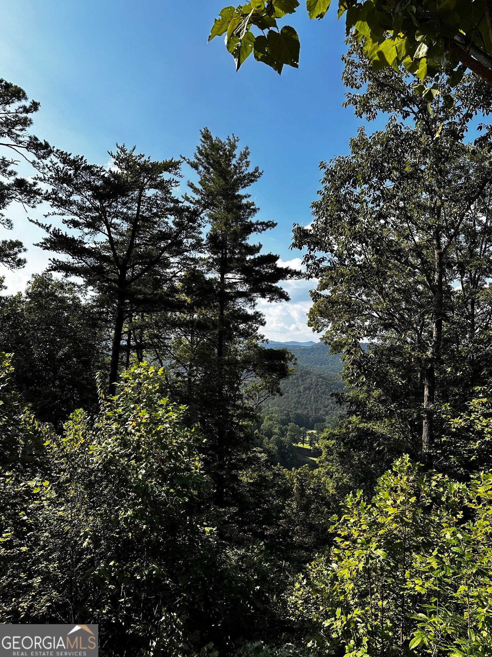 residential lot for sale at LOT J-12 Winterberry Trail, Clayton, GA 30525 — photo 5