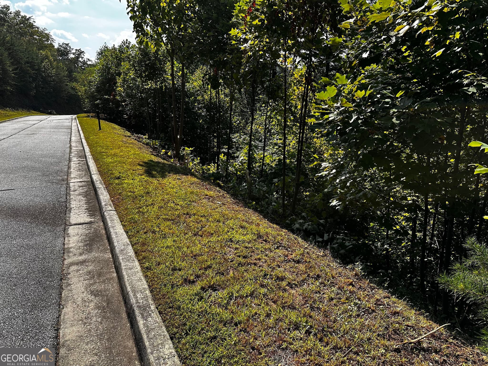 residential lot for sale at LOT J-12 Winterberry Trail, Clayton, GA 30525 — photo 4