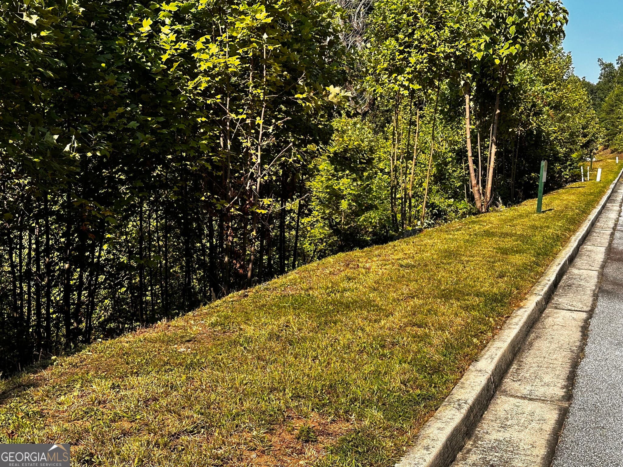 residential lot for sale at LOT J-12 Winterberry Trail, Clayton, GA 30525 — photo 8