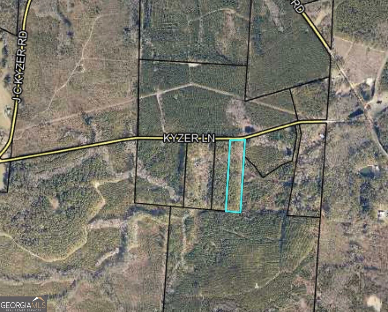 residential lot for sale at 0 Kyzer Lane, Adrian, GA 31002 — photo 1 of 1