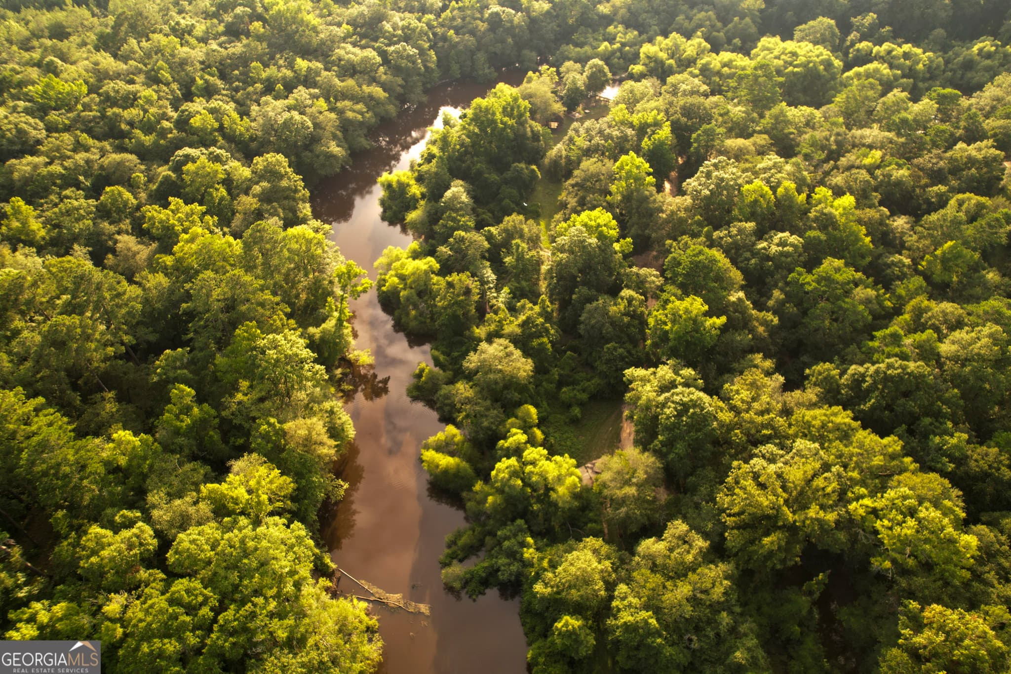 unimproved land for sale at 0 River Ridge Road, Reidsville, GA 30453 — photo 2