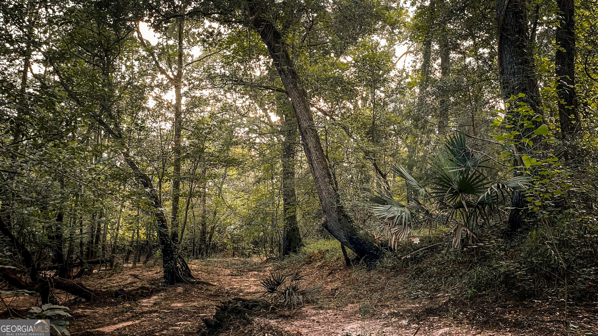 unimproved land for sale at 0 River Ridge Road, Reidsville, GA 30453 — photo 7