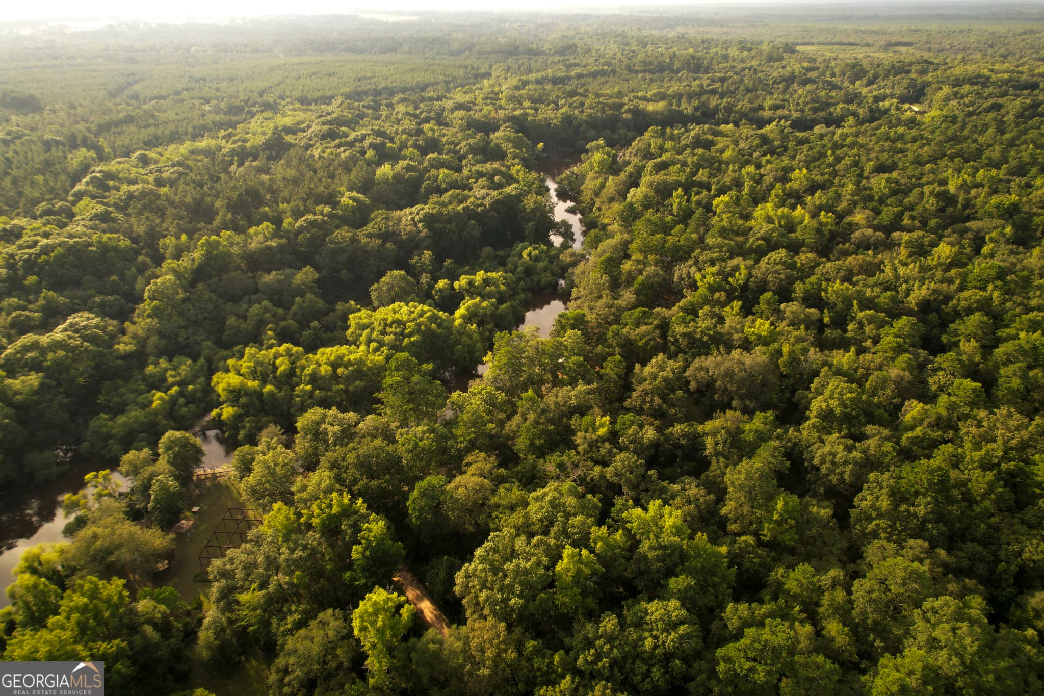 unimproved land for sale at 0 River Ridge Road, Reidsville, GA 30453 — photo 3