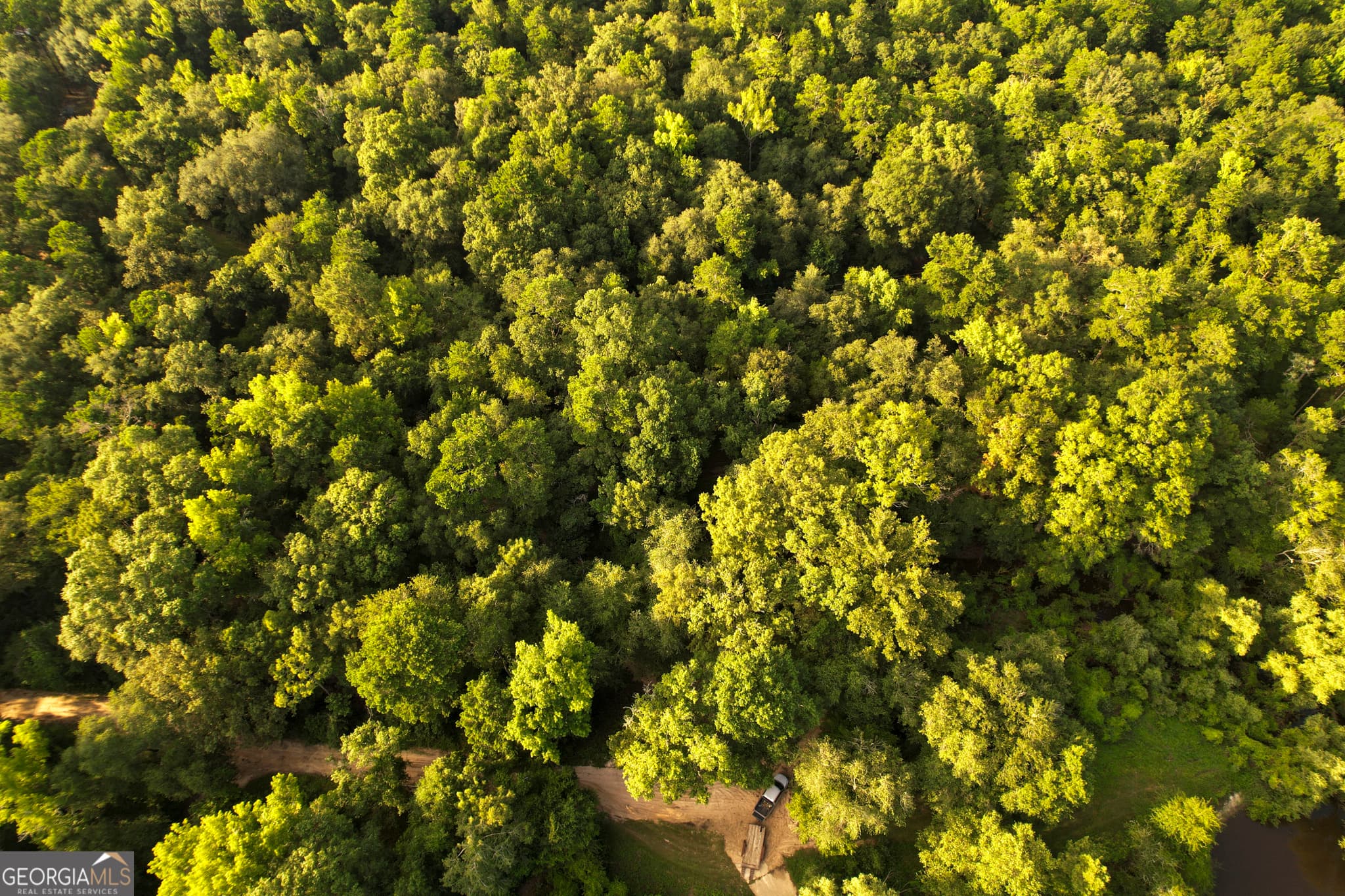 unimproved land for sale at 0 River Ridge Road, Reidsville, GA 30453 — photo 5
