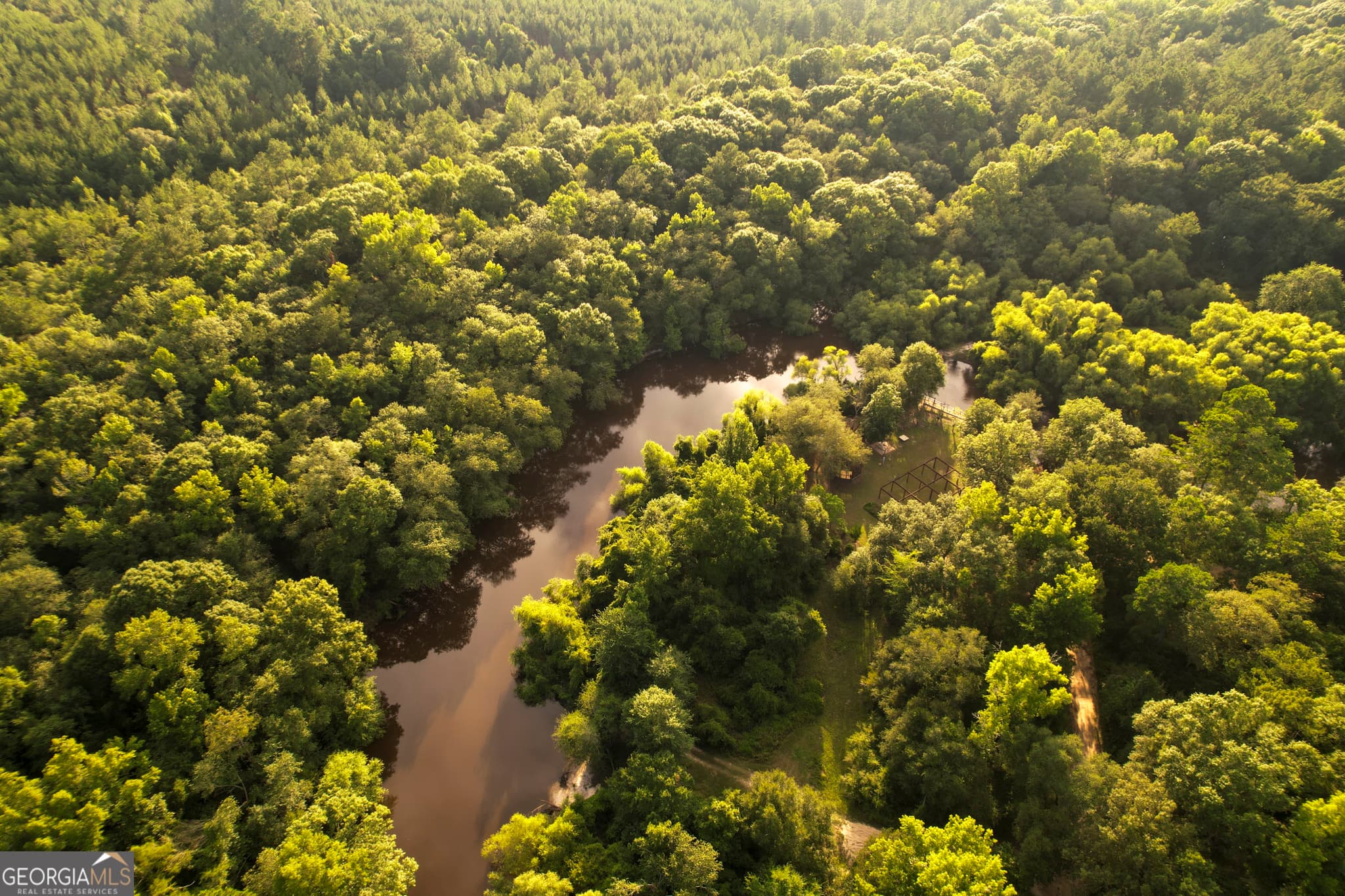 unimproved land for sale at 0 River Ridge Road, Reidsville, GA 30453 — photo 9
