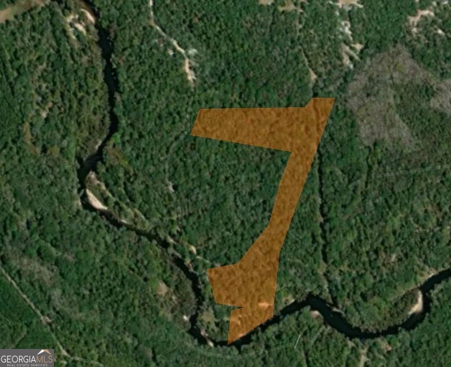 unimproved land for sale at 0 River Ridge Road, Reidsville, GA 30453 — photo 10