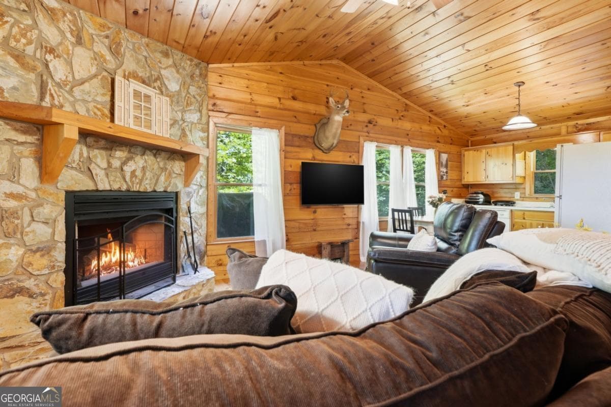 2 bedroom, 1 bathroom, 672 sq ft cabin,single family residence for sale at 156 Dupont Drive, Blue Ridge, GA 30513 — photo 10