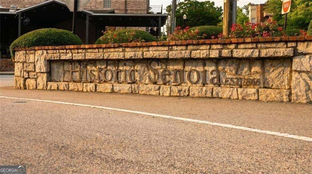 3 bedroom, 3.5 bathroom, 3,263 sq ft townhouse for sale at 61 Bourbon Street 7, Senoia, GA 30276 — photo 3