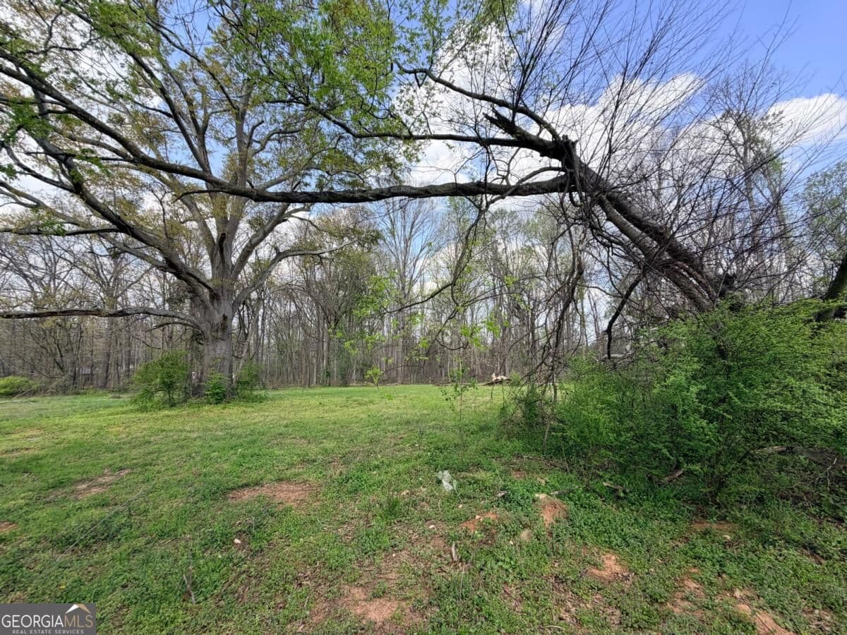 residential lot for sale at 662 Old Gainesville Highway, Pendergrass, GA 30567 — photo 4