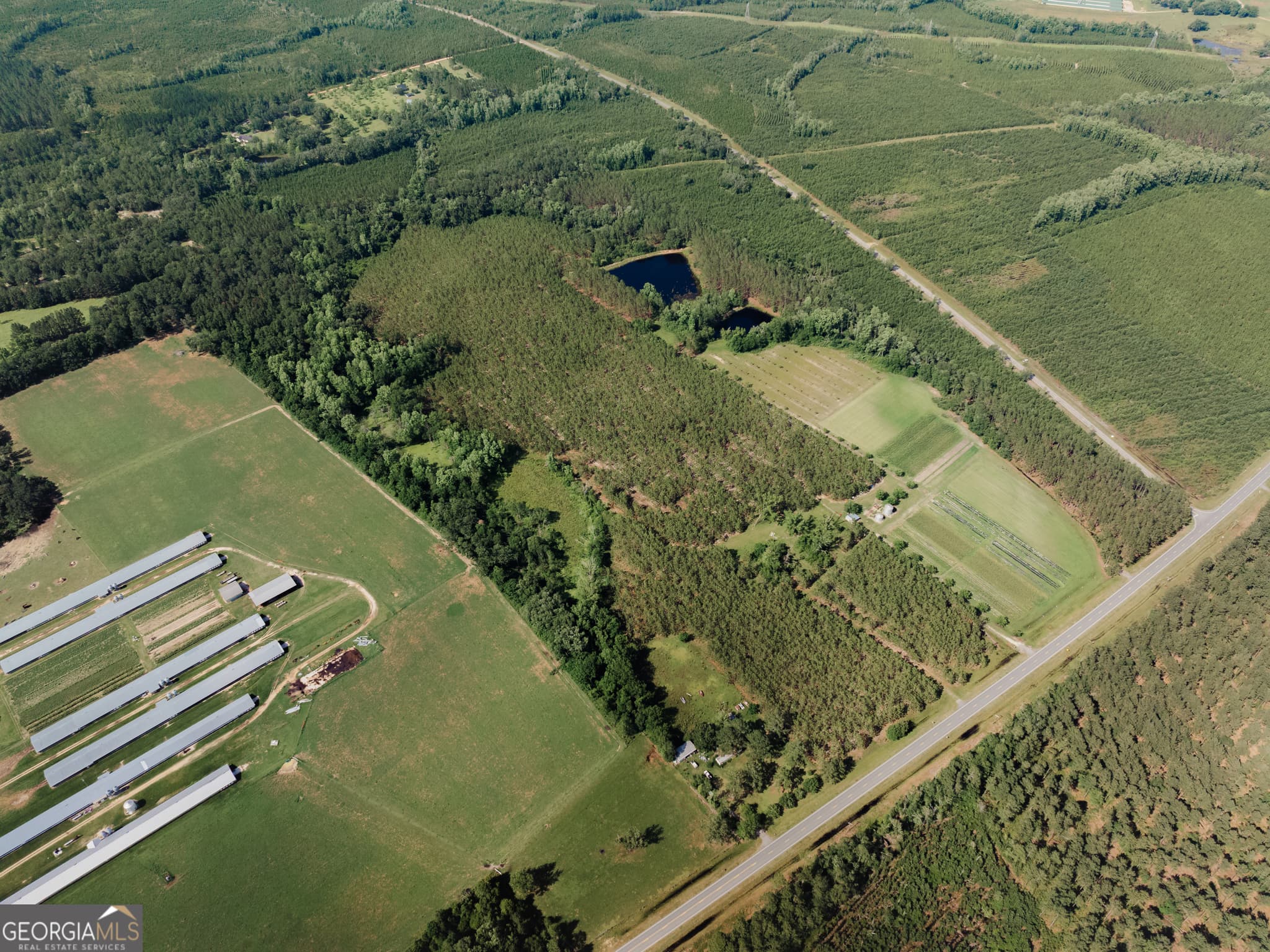 agriculture sold at 9027 Ga Highway 144, Surrency, GA 31563