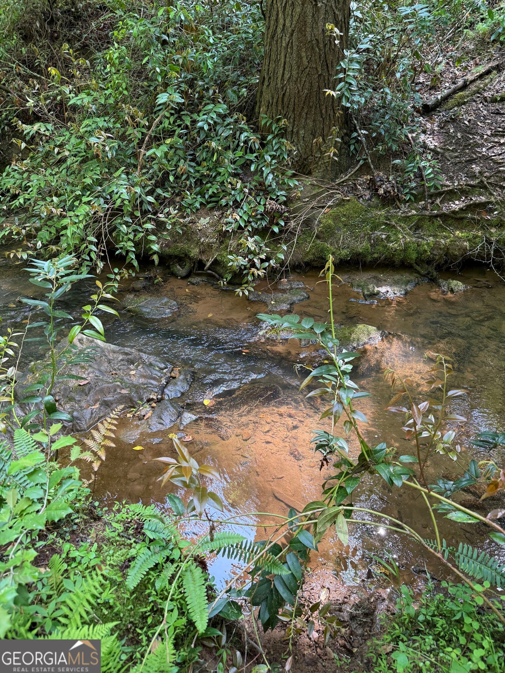 residential lot for sale at 0 Mill Trace Court, Cleveland, GA 30528 — photo 6